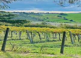 Apartment Amidst Vineyards & Blue Skies