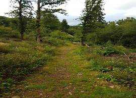 Group Villa With Sauna