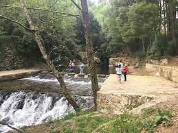 Holiday Home in Ponte de Lima With Pool