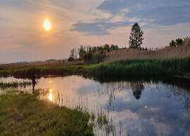 Countryside Escape With Sauna