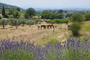 Farmhouse in Casperia With Pool & Scenic Views
