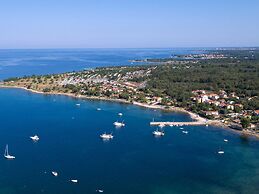 Villa in Novigrad With Pool & Rooftop Terrace