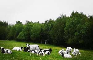 Houffalize Forest View Villa
