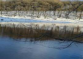 Limbourg Nature Retreat