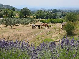 Country Farmhouse, Casperia