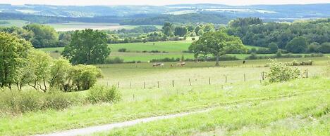 Bertrix Charming 2-bedroom Holiday Home