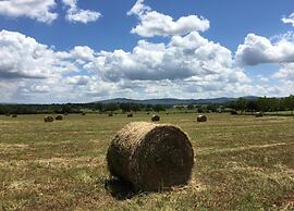 Tuscan Escape for Families