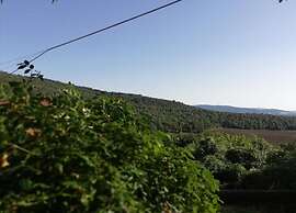 Cozy Stay With Scenic Views