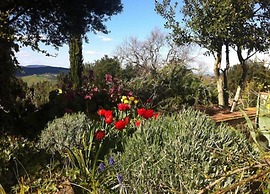 Cozy Stay With Scenic Views