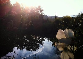 Tuscan Countryside Stay
