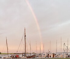 Ostseekrabbe