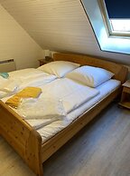 Ostseekrabbe