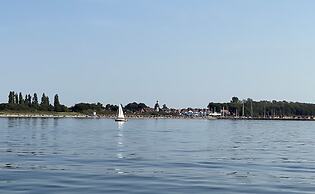 Ostseekrabbe