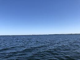 Ostseemuschel