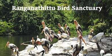 Sandesh The Prince