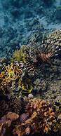 Bait Alaqaba Resort and Dive Center