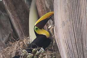 Selva Linda Lodge