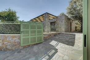 Ouzo Stone Studio