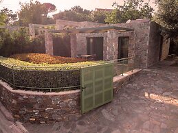 Ouzo Stone Studio