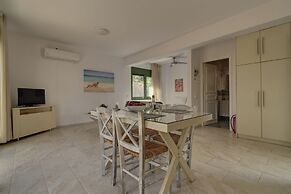 Ouzo Stone Studio