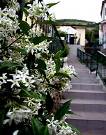 Hotel del Sole