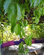 Villa Ignacia B&B