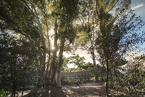 Babylonstoren