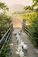 Babylonstoren