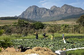 Babylonstoren