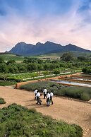 Babylonstoren