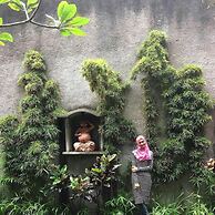 D'Fresh Guesthouse