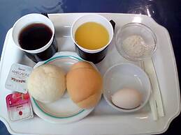 Business Hotel Nissei