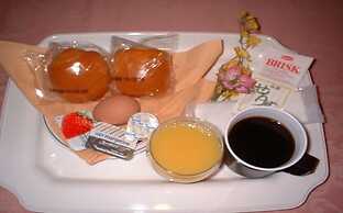 Business Hotel Nissei