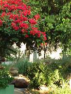 Corona Guest Farm