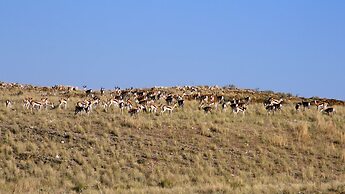 Corona Guest Farm