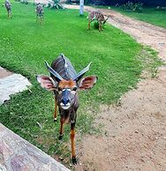 Blyde River Wilderness Lodge