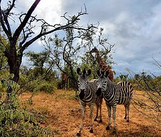 Blyde River Wilderness Lodge