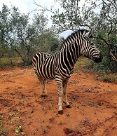 Blyde River Wilderness Lodge