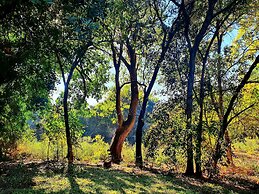 Blyde River Wilderness Lodge