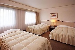 Hotel Excel Okayama