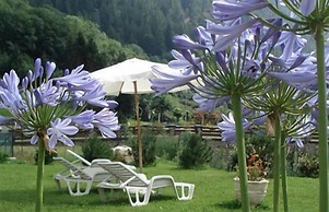 Hotel Pedretti
