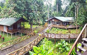 Borneo Nature Lodge