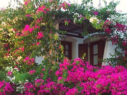 Dimitra Studios