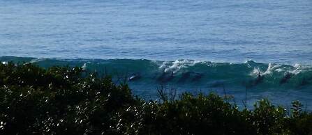 Shaloha Guesthouse on Supertubes
