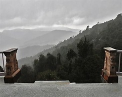 Te Aroha Dhanachuli