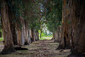 Hacienda Histórica Marchigüe