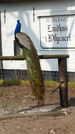 Hotel Landhuis ' T Wilgenerf