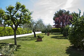 Rosa di Assisi