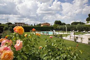Rosa di Assisi