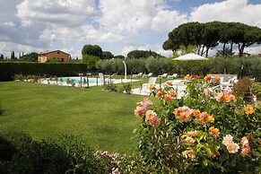 Rosa di Assisi